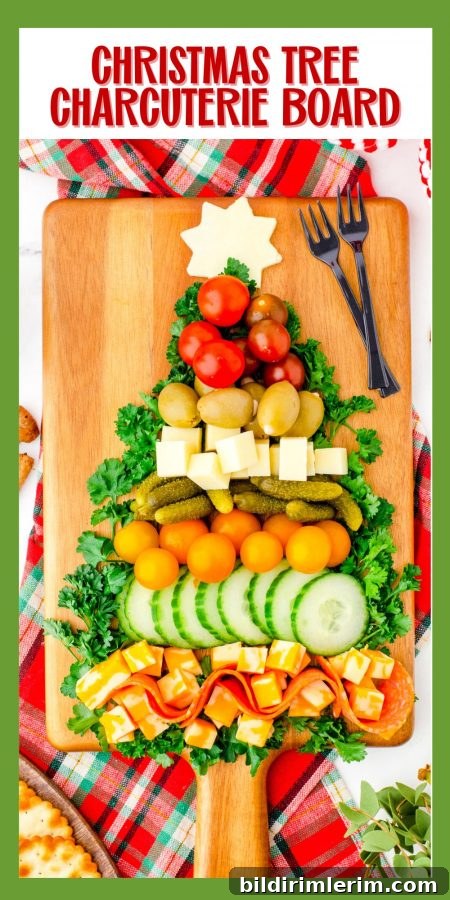 Final view of a Christmas Tree Charcuterie Board