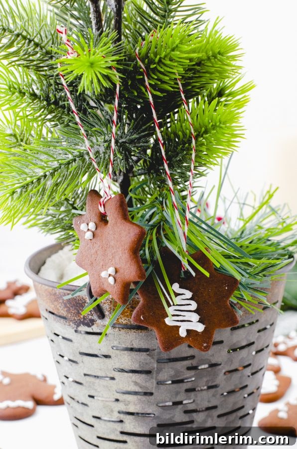 Gingerbread cookies tied onto a tree with red striped bakers twine.