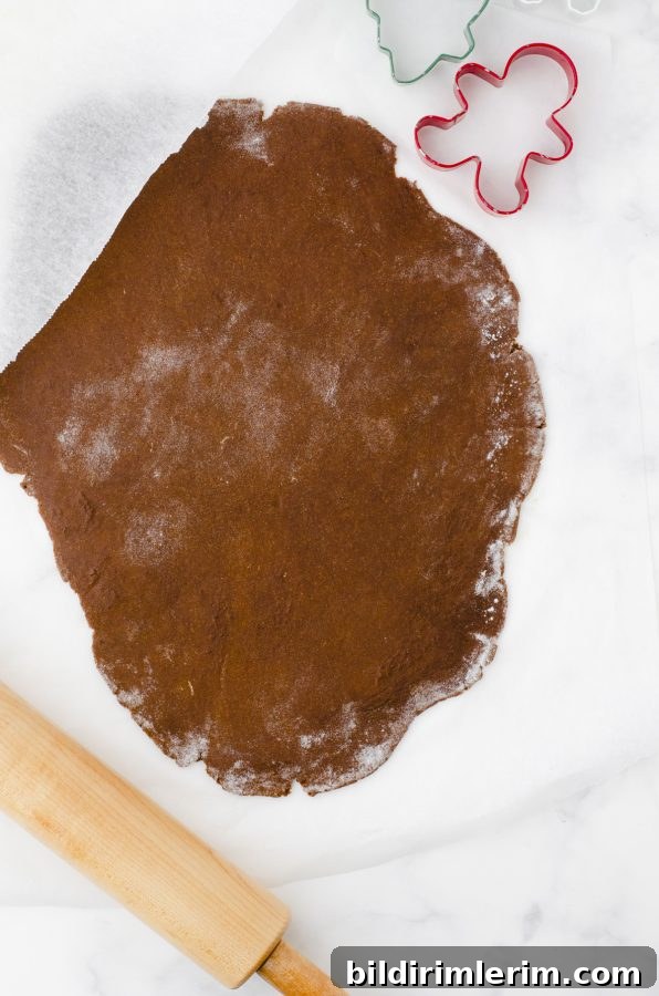 rolled out gingerbread cookie dough
