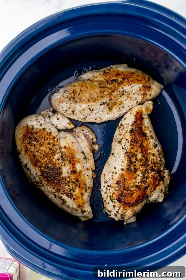 Chicken breasts in the bottom of a crock-pot