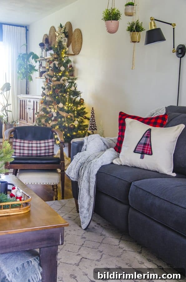 Living room with seasonal pillows