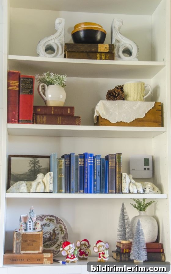 Bookcase with vintage holiday decorations