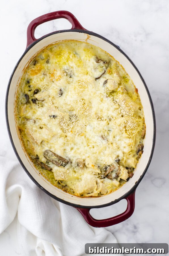 Baked turkey tetrazzini in a large dutch oven.