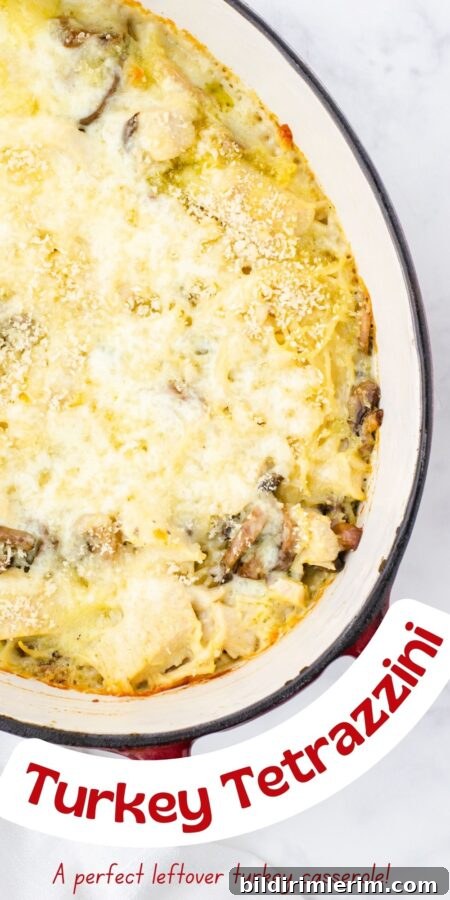 Close up of turkey tetrazzini in a dutch oven.
