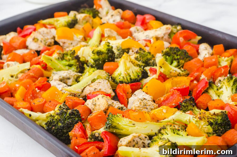sheet pan chicken and veggies cooked and ready to eat.
