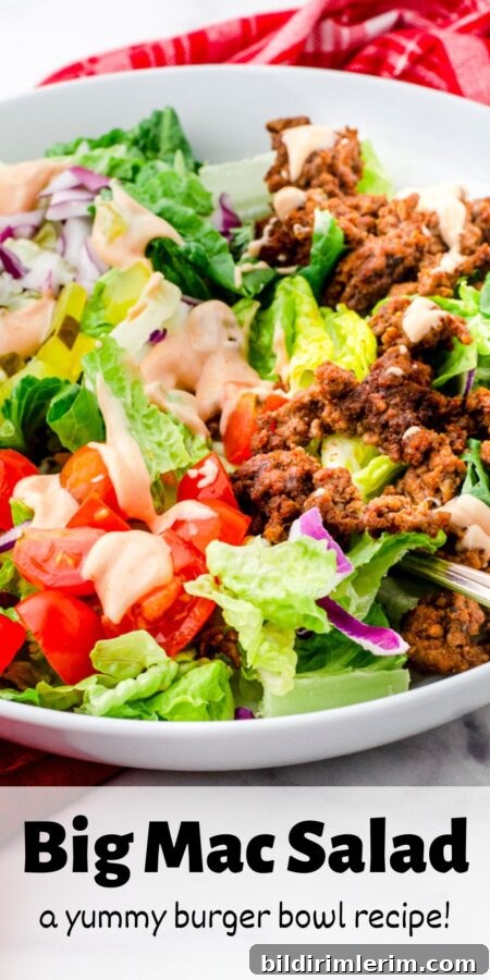 Big Mac Salad Recipe: Copycat Burger Bowl with Special Sauce 5 A close up of a healthy big mac salad in a bowl with the text "big mac salad - a yummy burger bowl recipe!" on top of it.