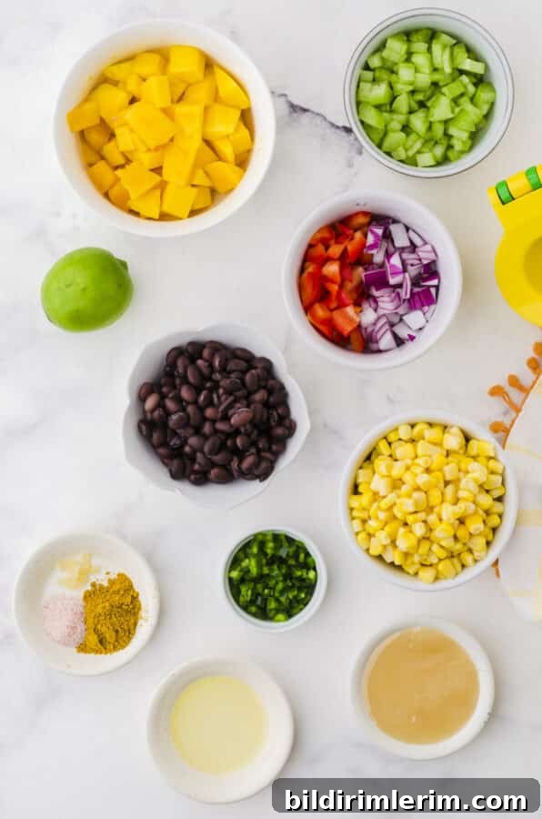 Ingredients needed for mango salad and mango salad dressing.