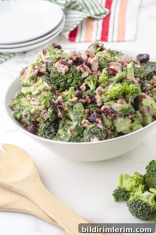 Classic Broccoli Salad with Cranberries Recipe 2 bowl of broccoli sald with cranberries and bacon bits