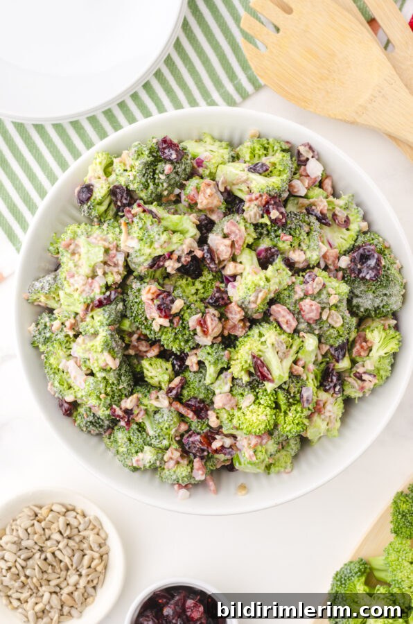 Classic Broccoli Salad with Cranberries Recipe 7 bowl of broccoli cranberry salad