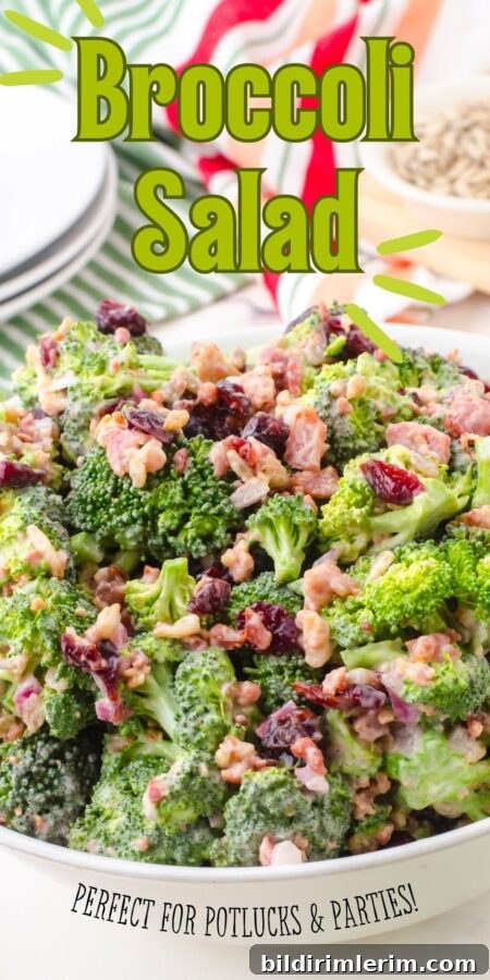 Classic Broccoli Salad with Cranberries Recipe 9 img 85132 8