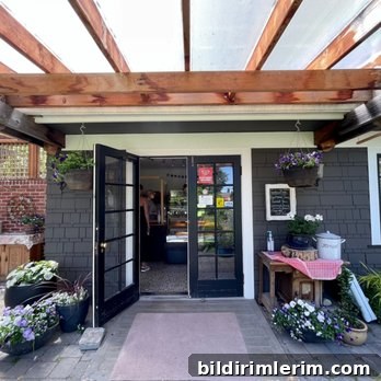Wild Culture Bakery scone