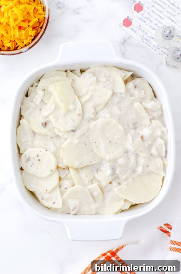 Scalloped Potatoes with Cream of Mushroom Soup and Cheese 9 Casserole dish ready for the oven