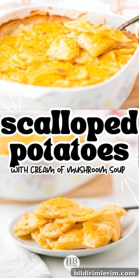 Scalloped Potatoes with Cream of Mushroom Soup and Cheese 10 Cheesy scalloped potatoes collage