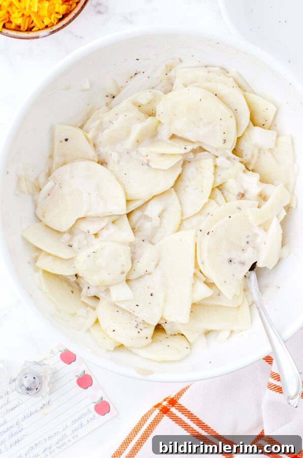 Scalloped Potatoes with Cream of Mushroom Soup and Cheese 8 Potatoes and sauce stirred together