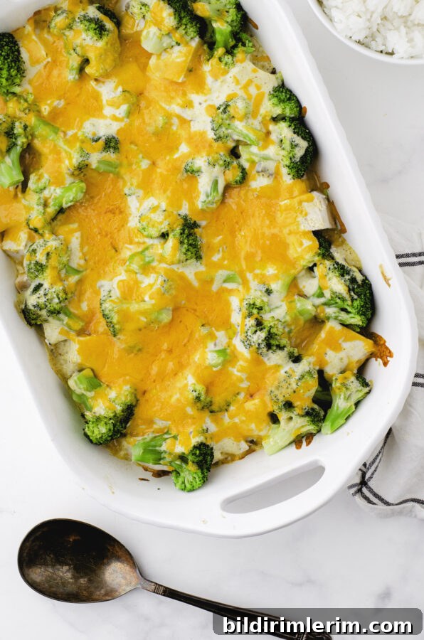 baked chicken divan casserole ready to serve