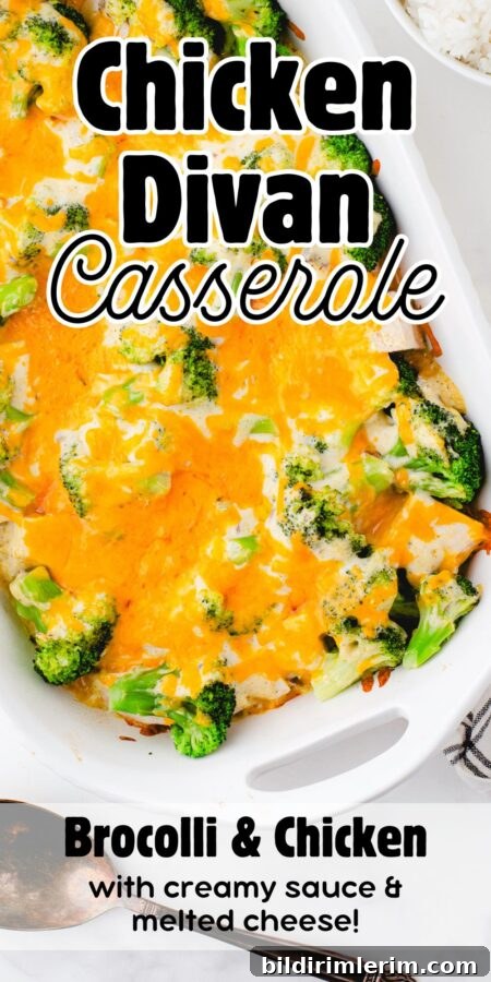 Chicken Divan casserole covered in melted cheese with the text "chicken divan casserole - broccoli & chicken with creamy sauce and melted cheese" written on it.