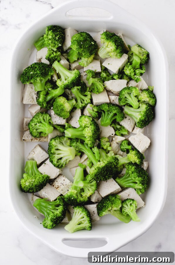 par-cooked broccoli layered over cooked chicken in casserole dish for chicken broccoli casserole