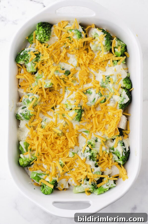 Grated cheddar cheese on top of chicken divan casserole