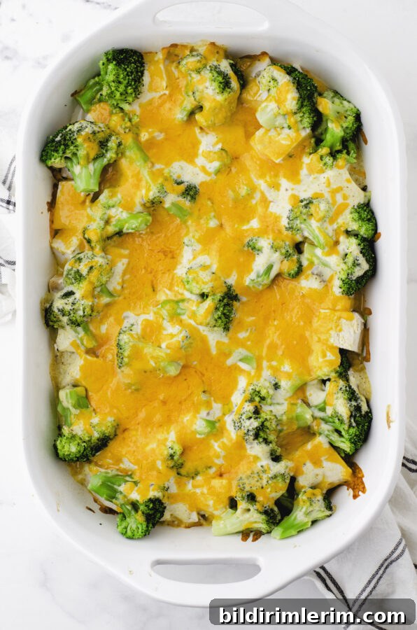 baked chicken divan casserole