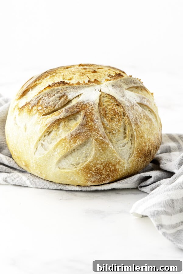 Dutch oven sourdough bread loaf
