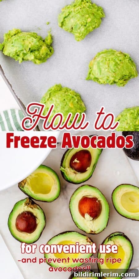 A collage of two pictures showing how to freeze mashed avocados. The top picture shows the mashed avocados in portions on a parchment lined cookie sheet and the other picture show avocados cut in half on a cutting board.