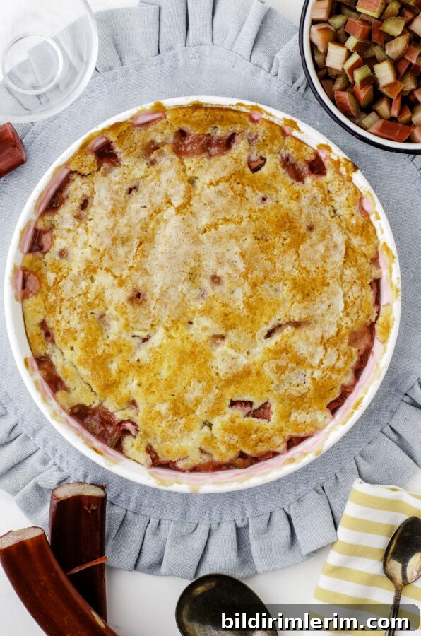 a baked pan of sticky rhubarb pudding