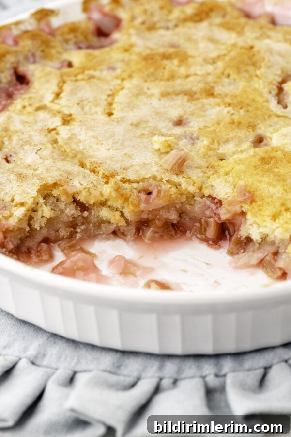 A pan of rhubarb pudding cake with one serving removed to show the juicy inside.
