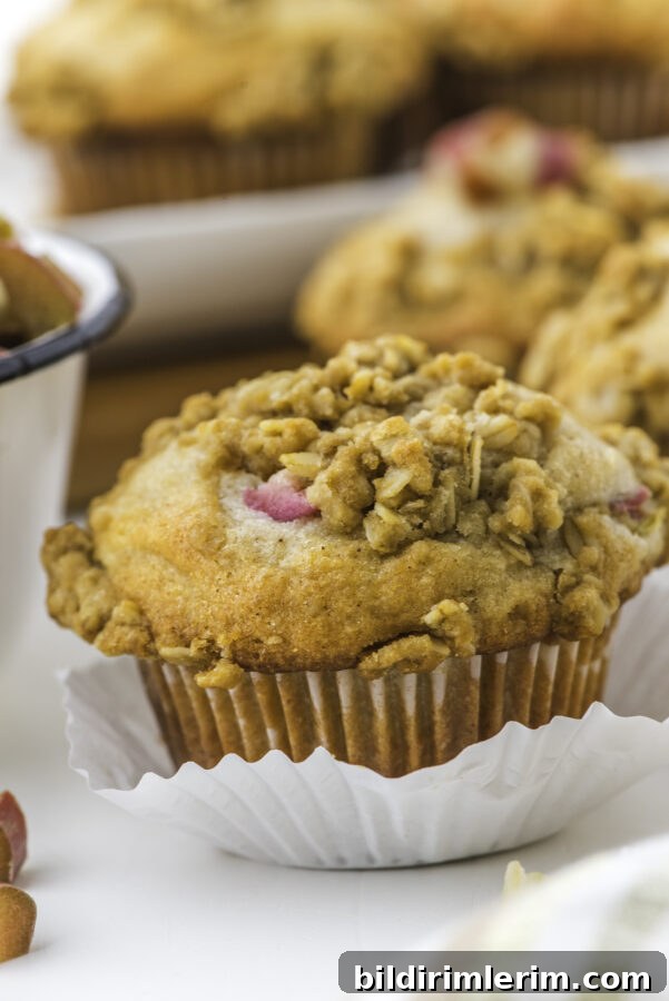 Sourdough Rhubarb Muffin sitting on a counter.
