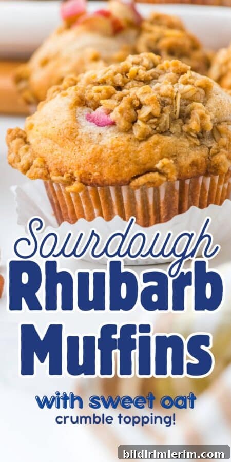 img 86817 14