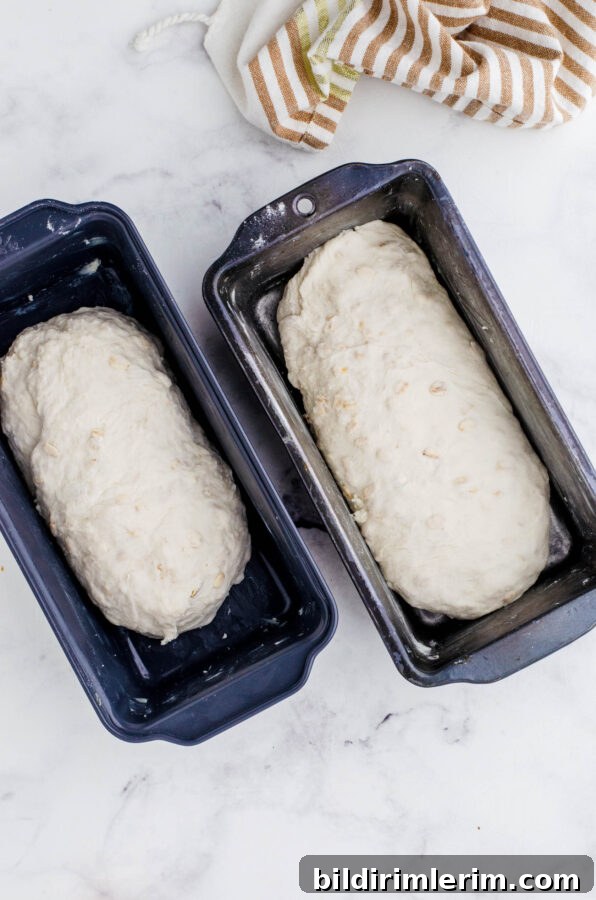 Honey oat sourdough sandwich bread in bread pans before it rises.