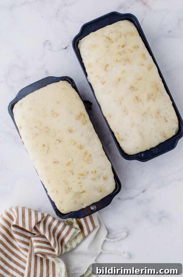 Honey oat sourdough bread that has risen and is ready to bake.