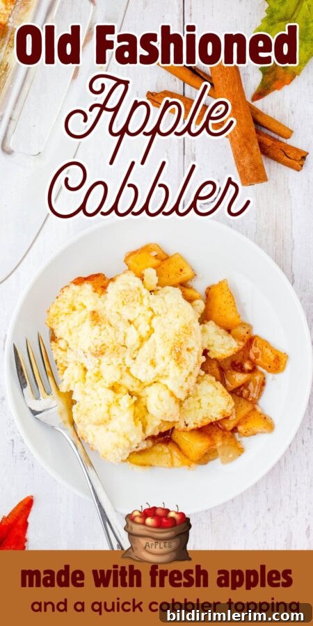 Old-Fashioned Apple Cobbler: Classic From-Scratch Recipe 10 A dessert plate with a serving of apple cobbler on it.