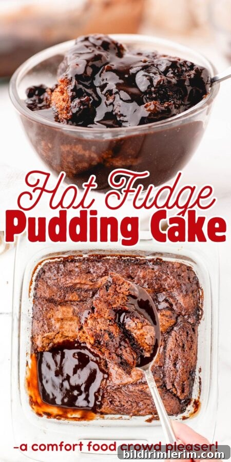 A collage of chocolate pudding cake - in a pan and in a dessert dish.