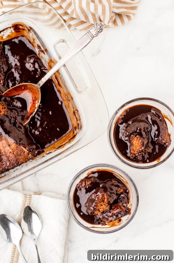 A pan of chocolate pudding cake with two dessert bowls with servings of the cake in them.