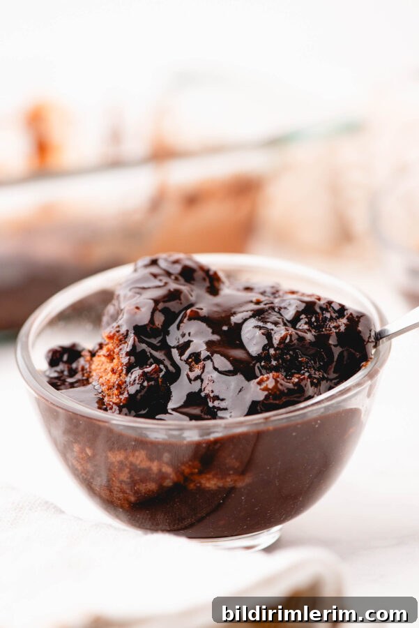 A bowl of chocolate pudding cake with a spoon in it.