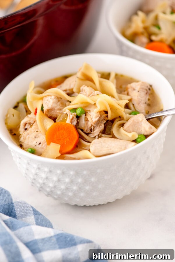 A bowl of chicken noodle soup with a spoon in it.