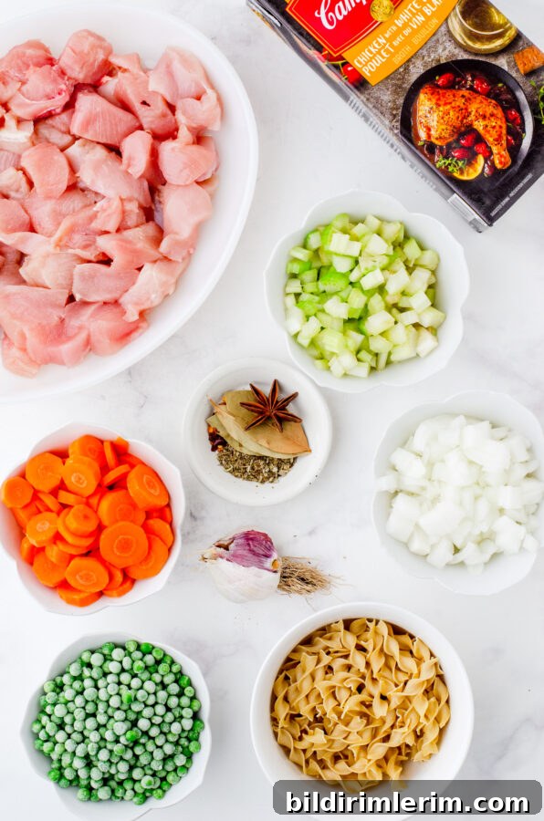 Ingredients needed for chicken noodle soup with chicken breasts and star anise