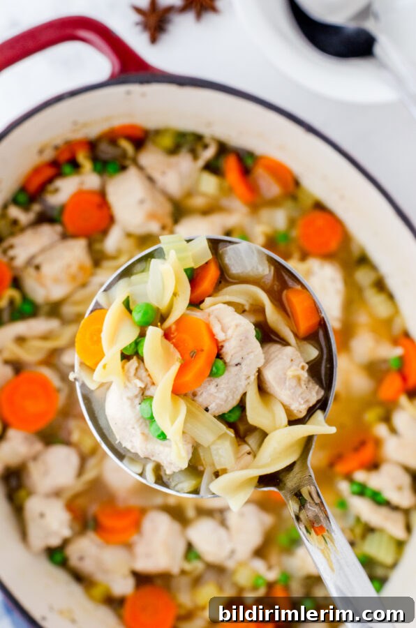 A soup ladle full of chicken noodle soup showing the bits of chicken, carrots, noddles, peas, and sauted onions.