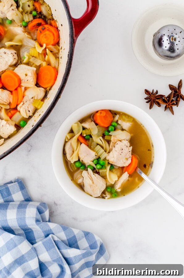 A bowl of chicken noodle soup next to a pot of chicken noodle soup and some star anise pieces to the side.