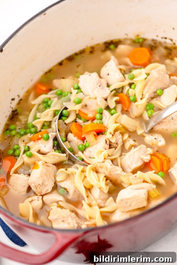 A soup ladle full of chicken noodle soup with chicken breast pieces