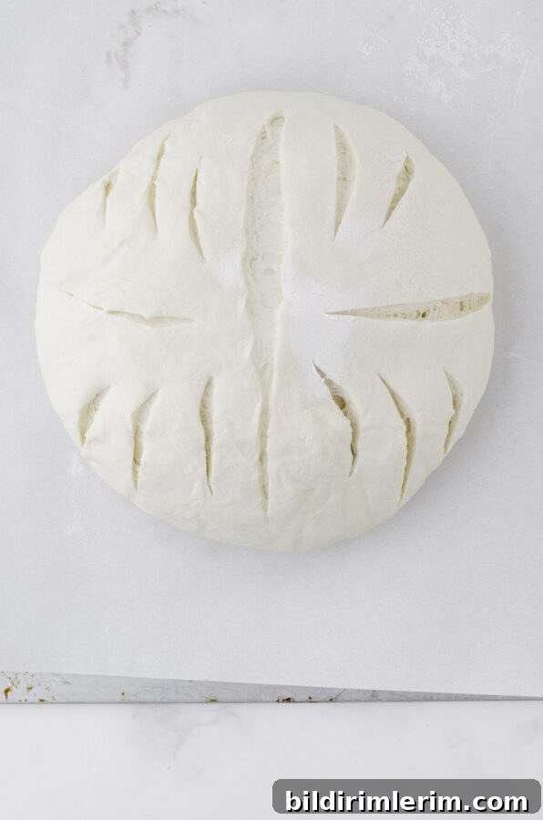 A sourdough bread loaf ready to be placed in a dutch oven to bake.