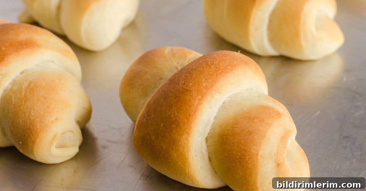 Dinner buns shaped like crescent rolls.