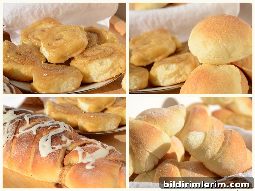 A collage of yeast buns in different shapes including cinnamon rolls, dinner buns, crescent rolls, and a cinnamon loaf.