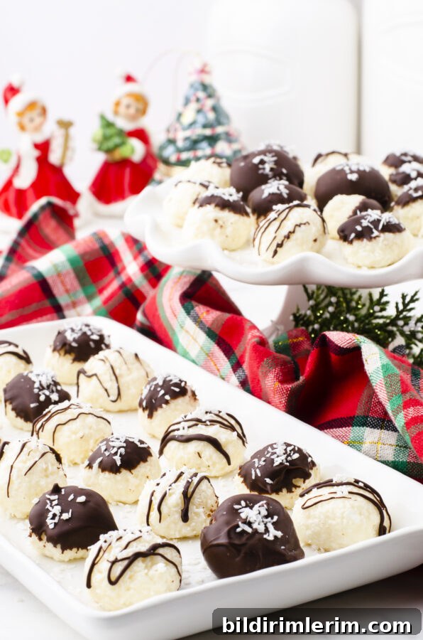How to Bake and Gift Christmas Cookies with Printable Tags 5 img 87460 4