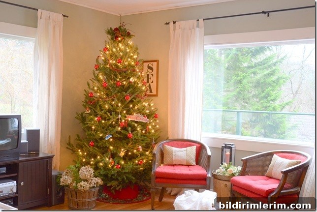 Fir or Artificial? How to Choose Your Christmas Tree 3 img 87471 2