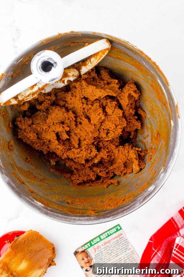 The thick gingersnaps cookie dough in a bowl.
