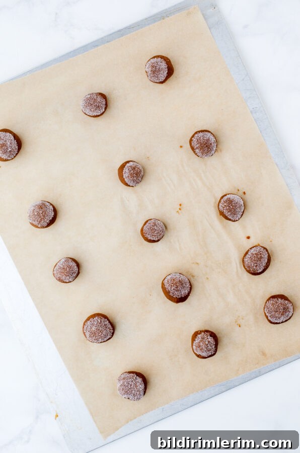 Gingersnap cookie dough in balls dipped in sugar on a baking sheet ready to be put in the oven.