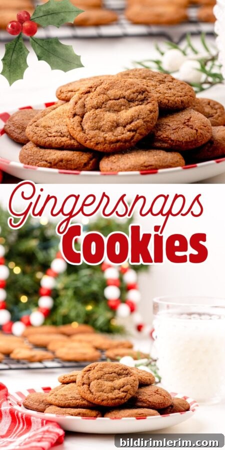 Plate of Gingersnaps Cookies