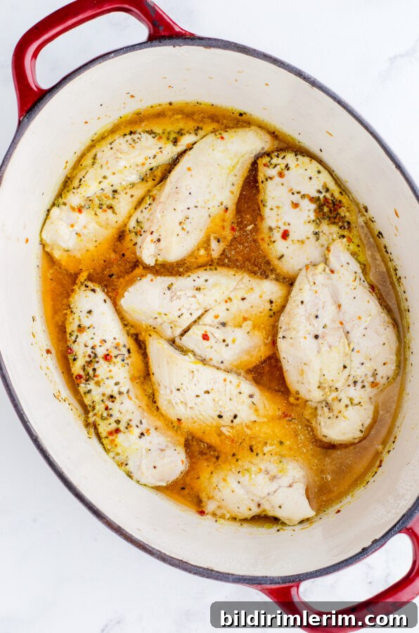 Cooked chicken breasts in a dutch oven with chicken broth.