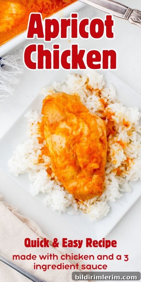 A piece of apricot chicken on a bed of rice on a plate.